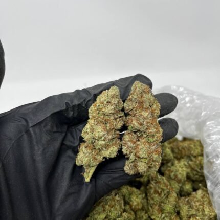 Blue Dream Cannabis