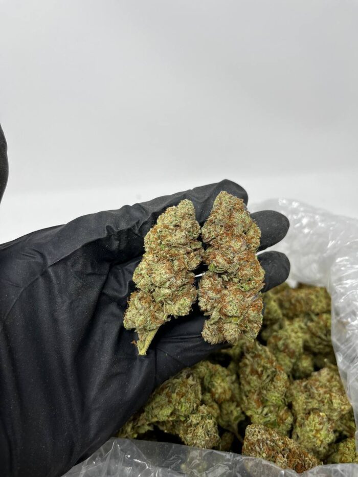 Blue Dream Cannabis