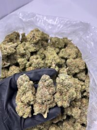 OG Kush Online