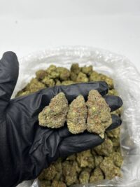 Super Silver Haze