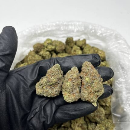 Super Silver Haze