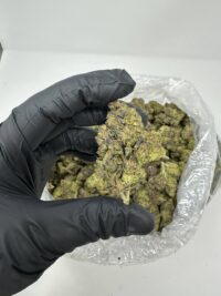 Lemon Cherry Gelato Weed