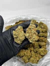 Jack Herer Weed