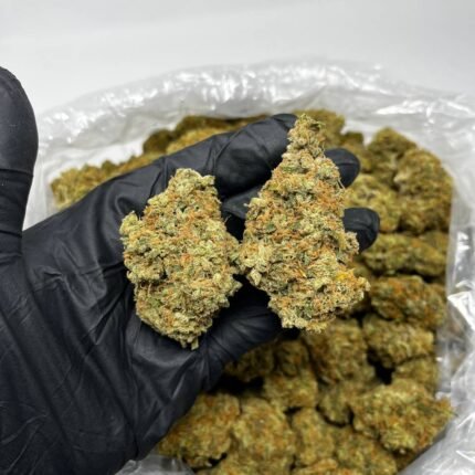 Jack Herer Weed