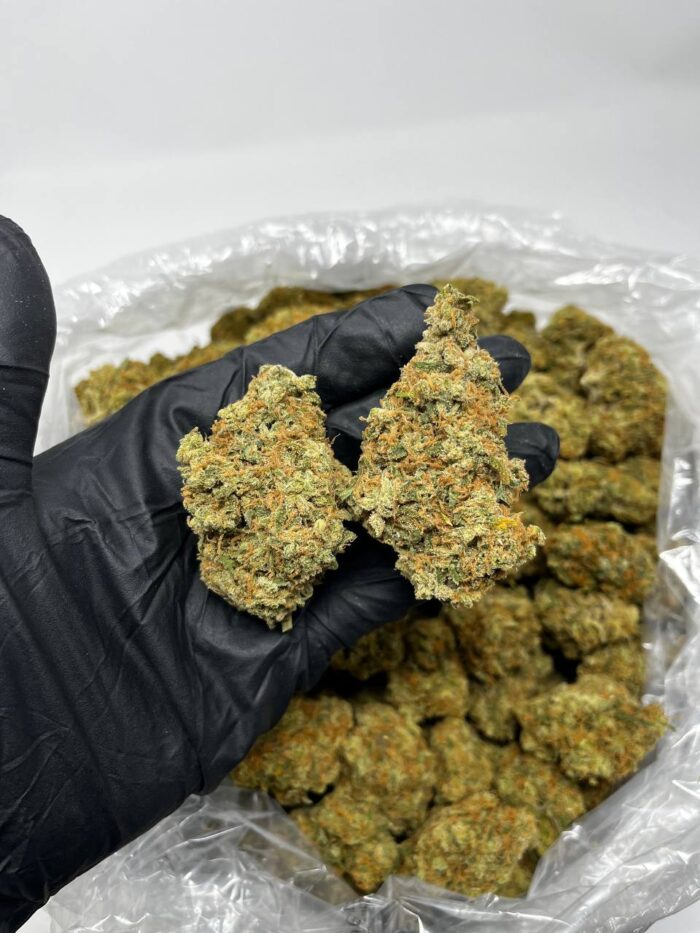 Jack Herer Weed