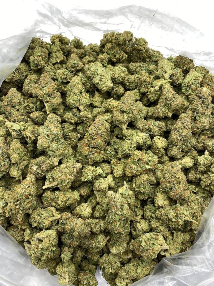 Buy Gelato 41 Online