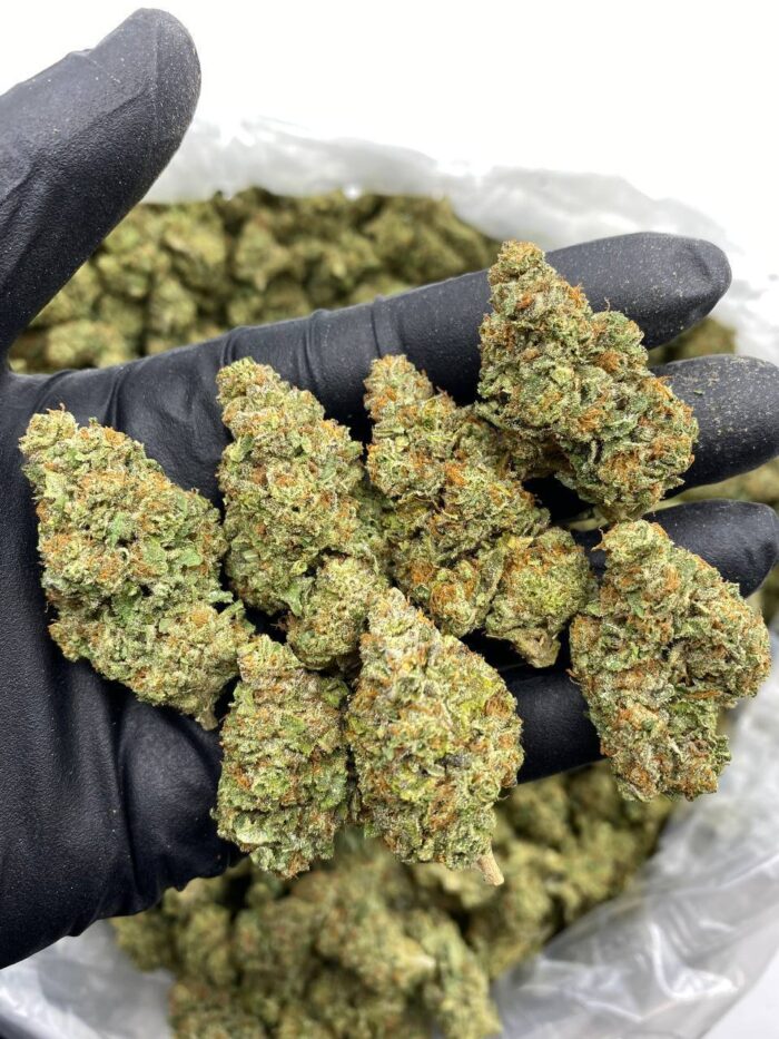 Gelato 41 Weed