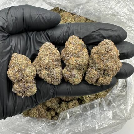 Girl Scout Cookies Cannabis Online