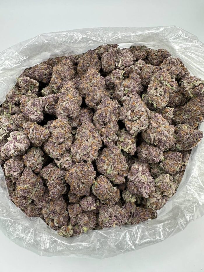Tropicana Cherry Strain