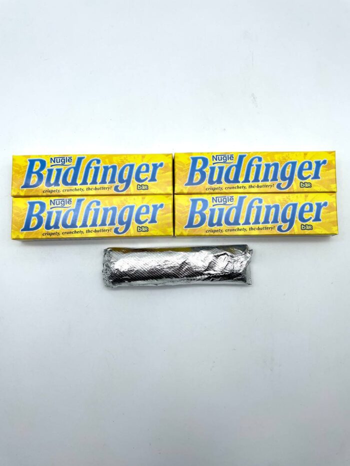 Budfinger 1000mg Cannabis Chocolate