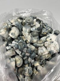 APE Magic Mushrooms