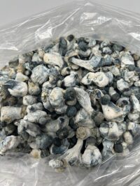 APE Magic Mushrooms For Sale