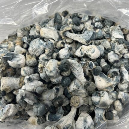 APE Magic Mushrooms For Sale