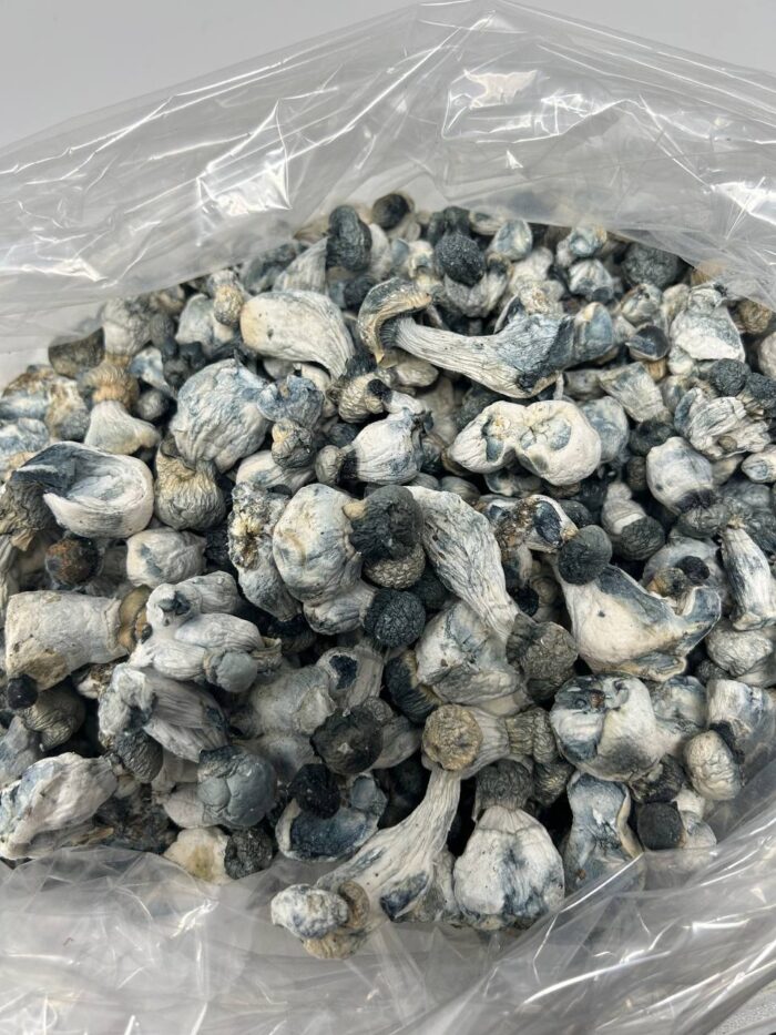 APE Magic Mushrooms For Sale