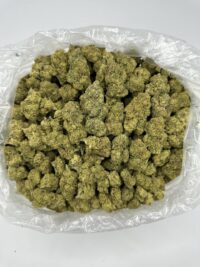 Buy Cheetah Piss Strain Online