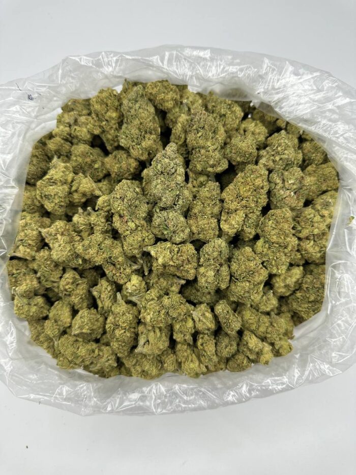Buy Cheetah Piss Strain Online