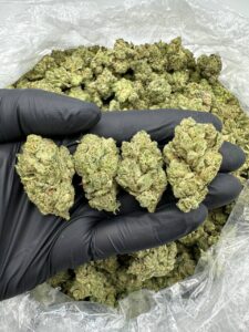 Gorilla Glue Cannabis Strain