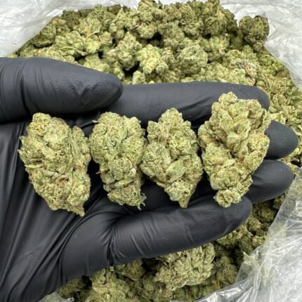 Gorilla Glue Cannabis Strain