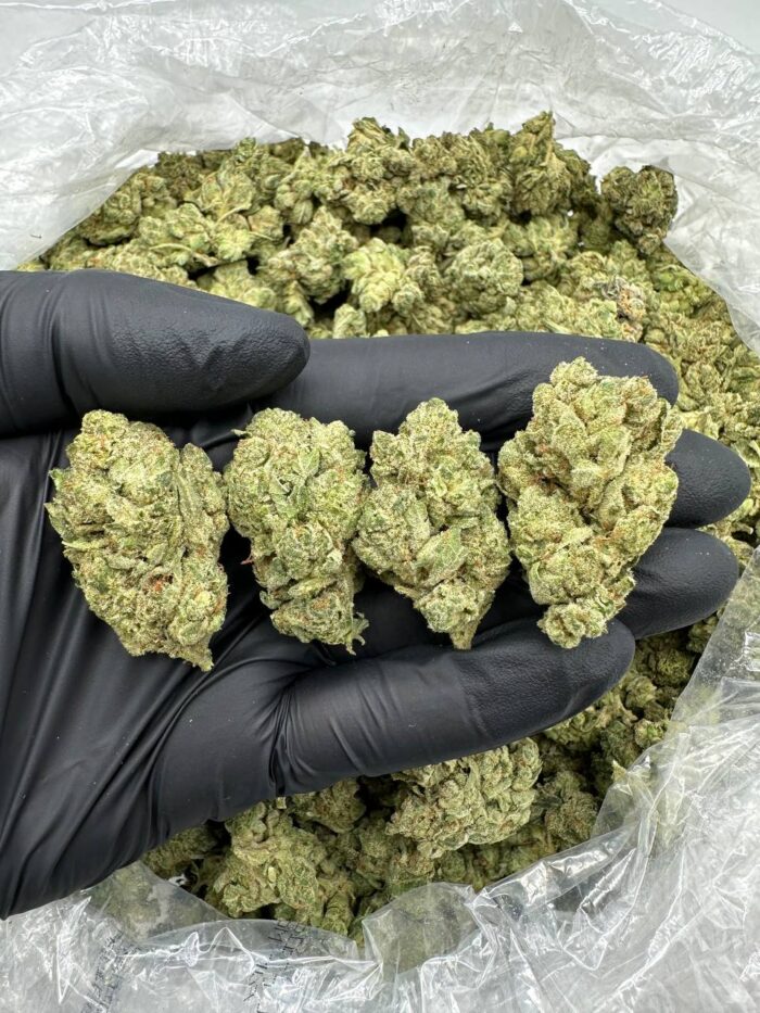 Gorilla Glue Cannabis Strain
