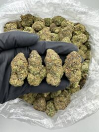 Zoap Cannabis Strain