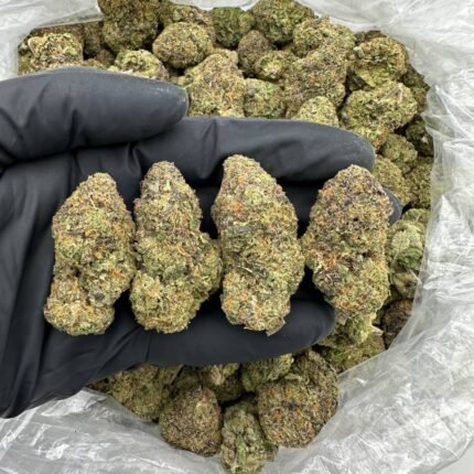 Zoap Cannabis Strain