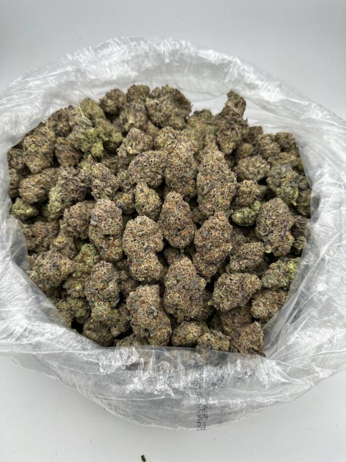 Black Ice Cannabis Strain