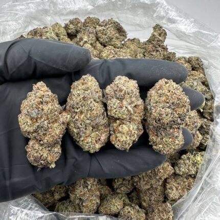Buy Black Ice Cannabis Online