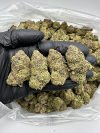 Acai Berry Gelato Marijuana Strain