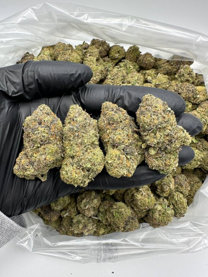Acai Berry Gelato Marijuana Strain
