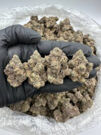 Member Berry strain
