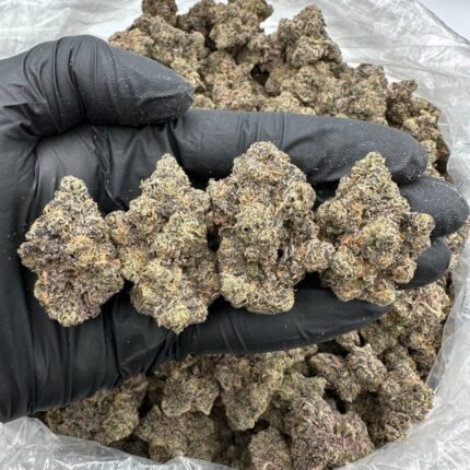 Member Berry strain