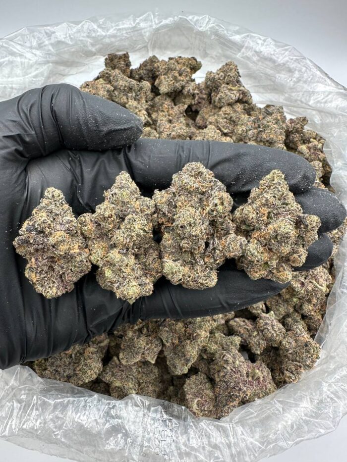 Member Berry strain
