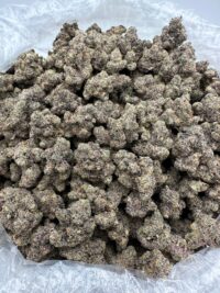 Acai Gelato Strain