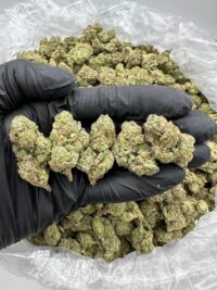 True OG Cannabis Strain