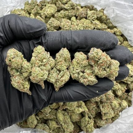 True OG Cannabis Strain