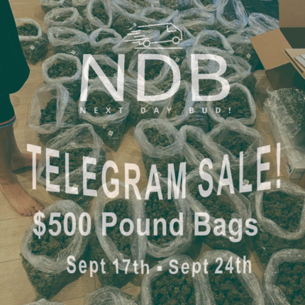NDB! $500  Discount Packs (ENDED!)