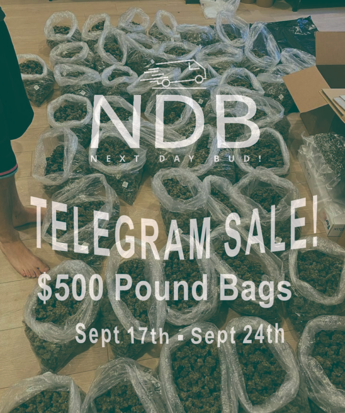 Untitled NDB! $500 Discount Packs (ENDED!) - Image 1