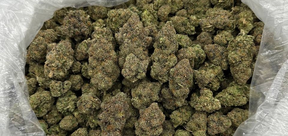 Guide to selecting High-Quality Cannabis
