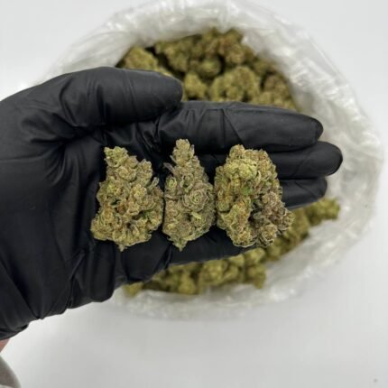 Buy Divorce Cake Cannabis Online