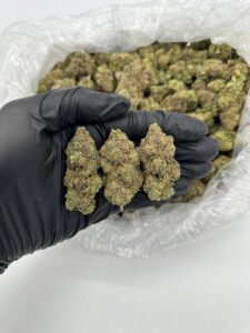 Where to buy Blackwater OG Cannabis Strain