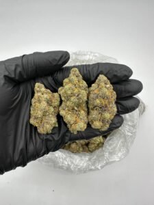 Animal Mints Cannabis Strain
