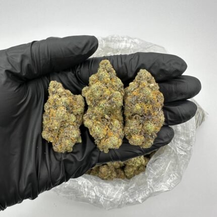 Animal Mints Cannabis Strain
