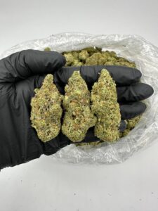 Chauffeur Marijuana Strain
