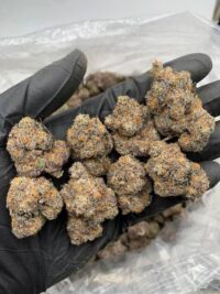 Candy Runtz Cannabis Strain