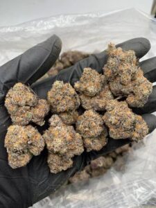 Candy Runtz Cannabis Strain