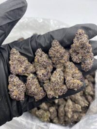 Bubblegum Nerdz Cannabis Strain
