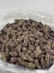 Buy Bubblegum Nerdz Online