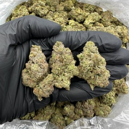 Candy Apple Marijuana Strain