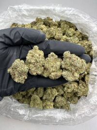 Buy Animal Cookies Cannabis