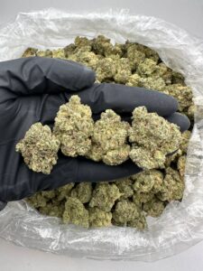 Buy Animal Cookies Cannabis